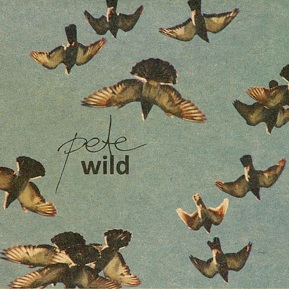 Picture of Pete Wild