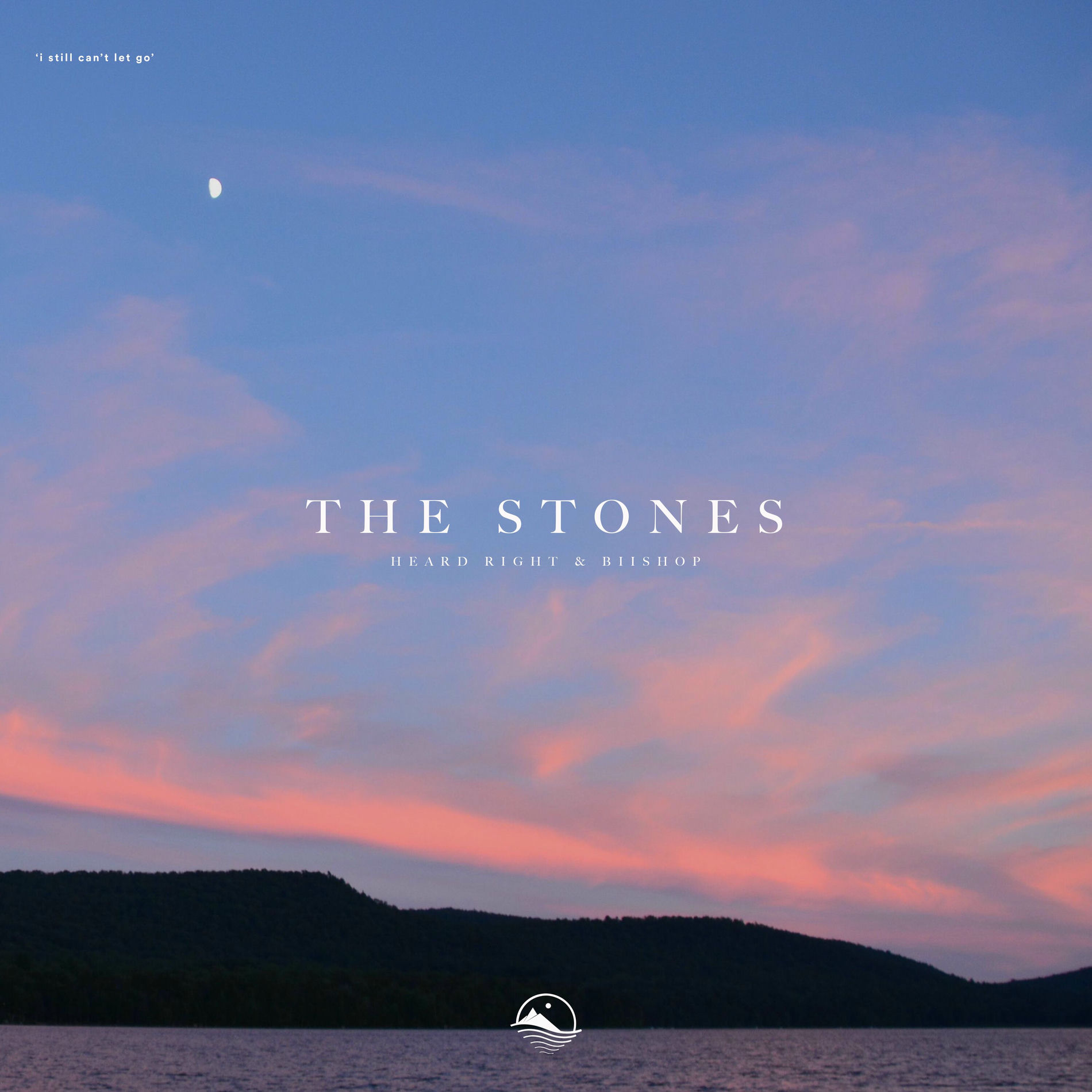 Album cover of The Stones