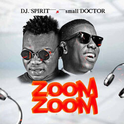 Cover of Zoom Zoom