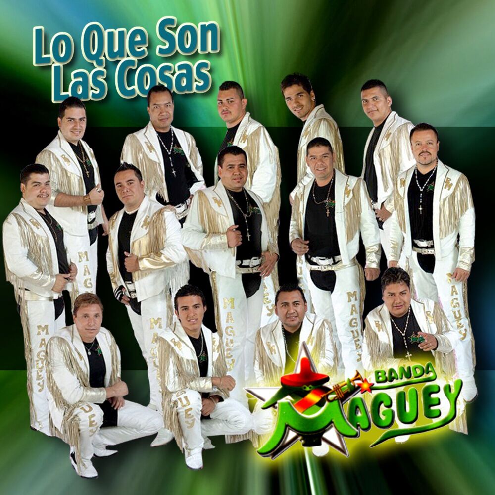 Picture of Lo Que Son las Cosas