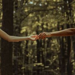 Cover of Holding Hands