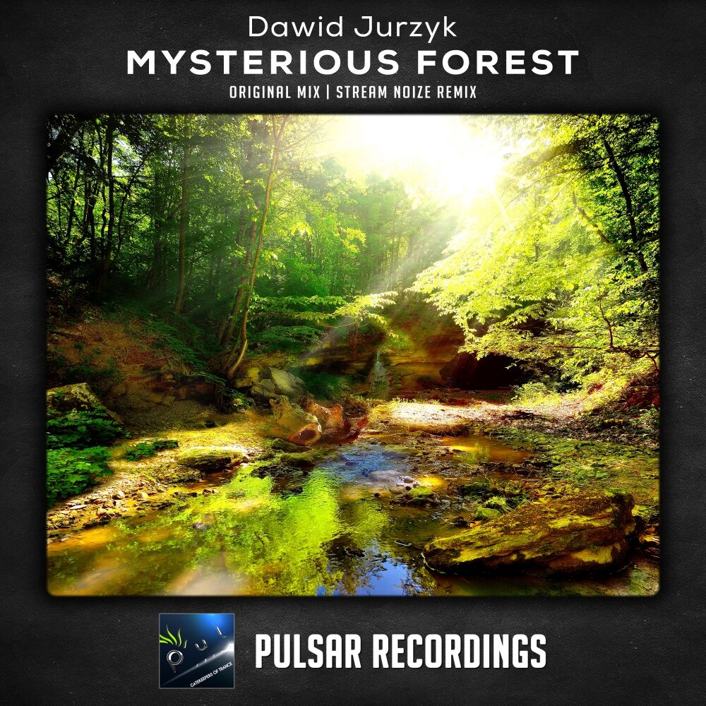 Picture of Mysterious Forest