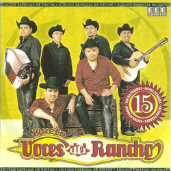 Cover of 15 Exitos Pesados