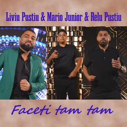 Cover of Faceti tam tam