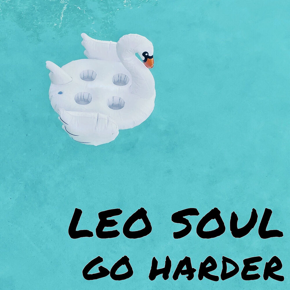 Picture of Go Harder