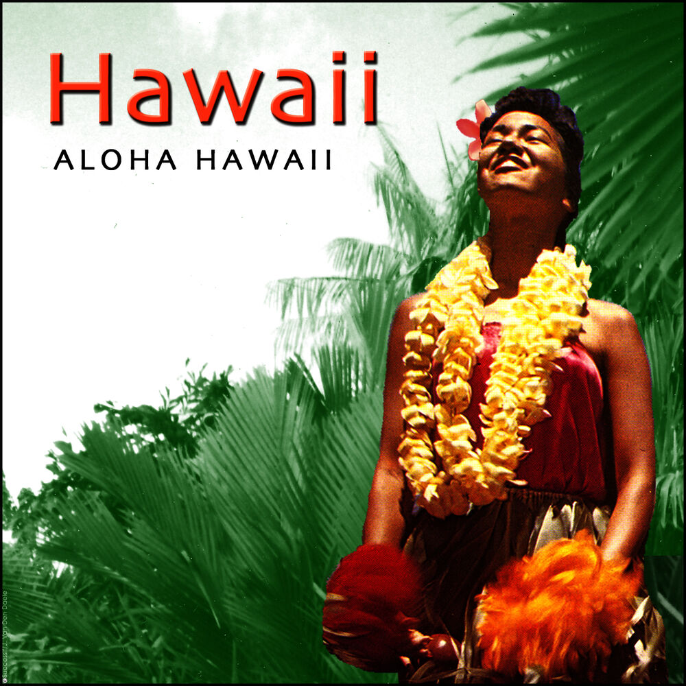 Picture of Aloha Hawaii - Hawaiian Guitar
