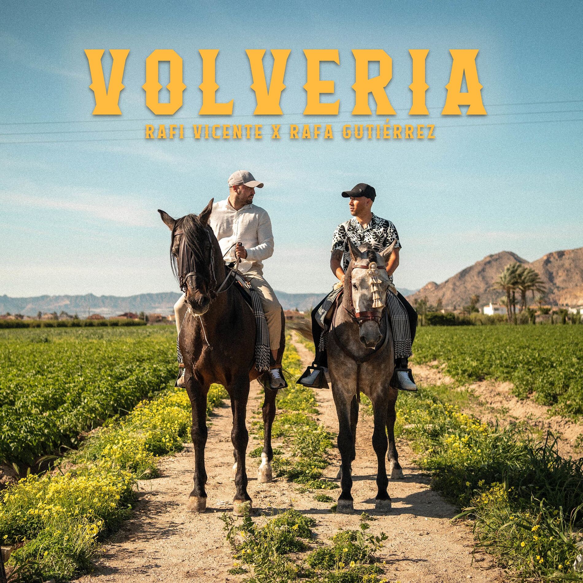 Album cover of Volvería