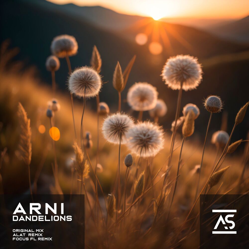 Picture of Dandelions