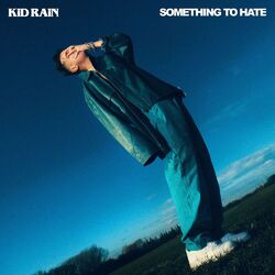 Cover of Something to Hate