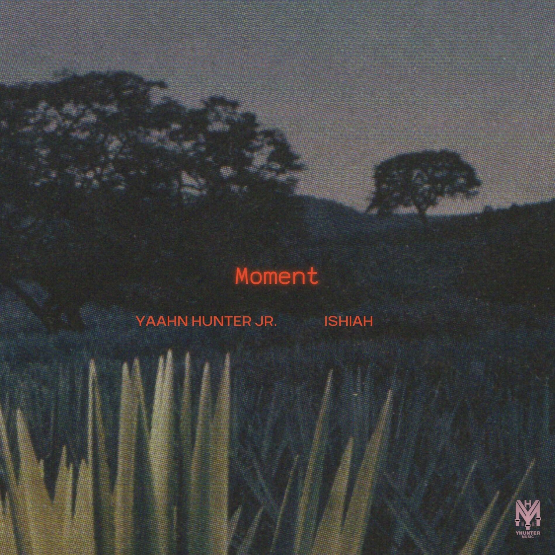 Album cover of Moment