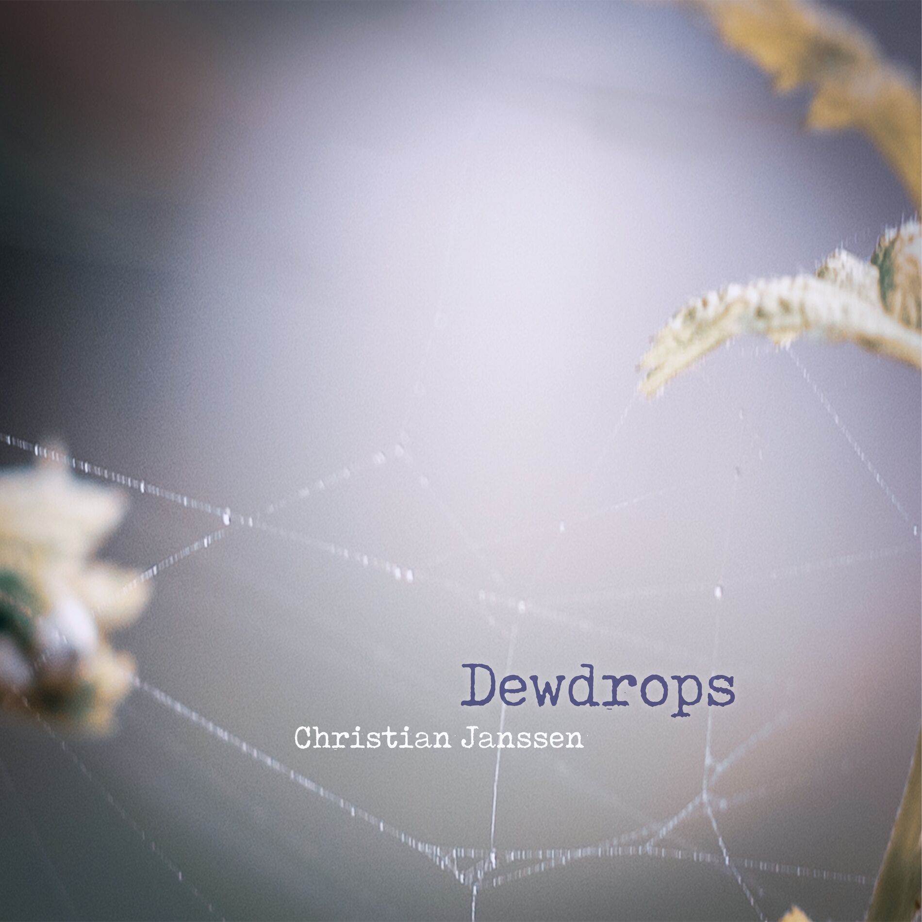 Album cover of Dewdrops