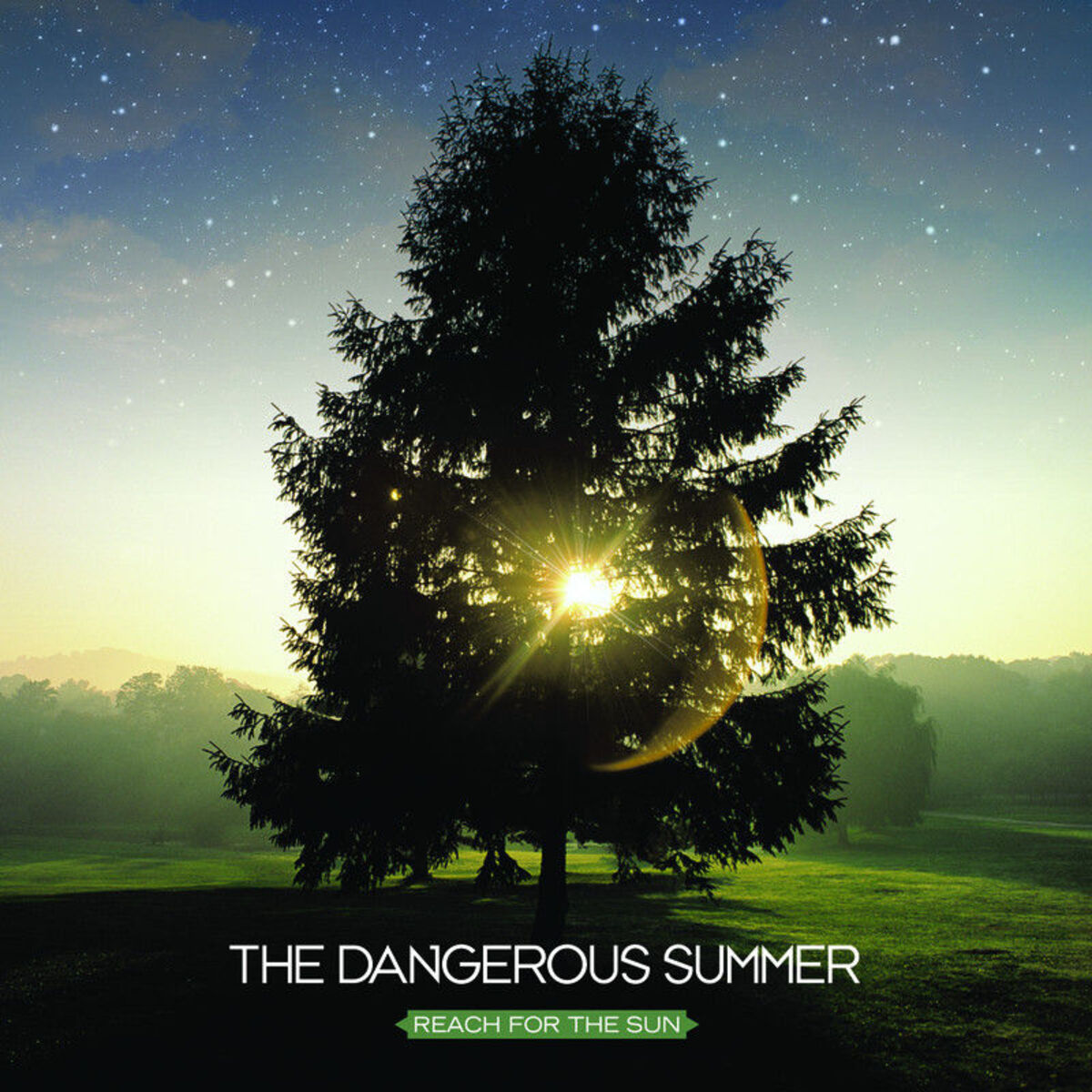 Album cover of Reach For The Sun (itunes version)