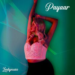 Cover of Payaar