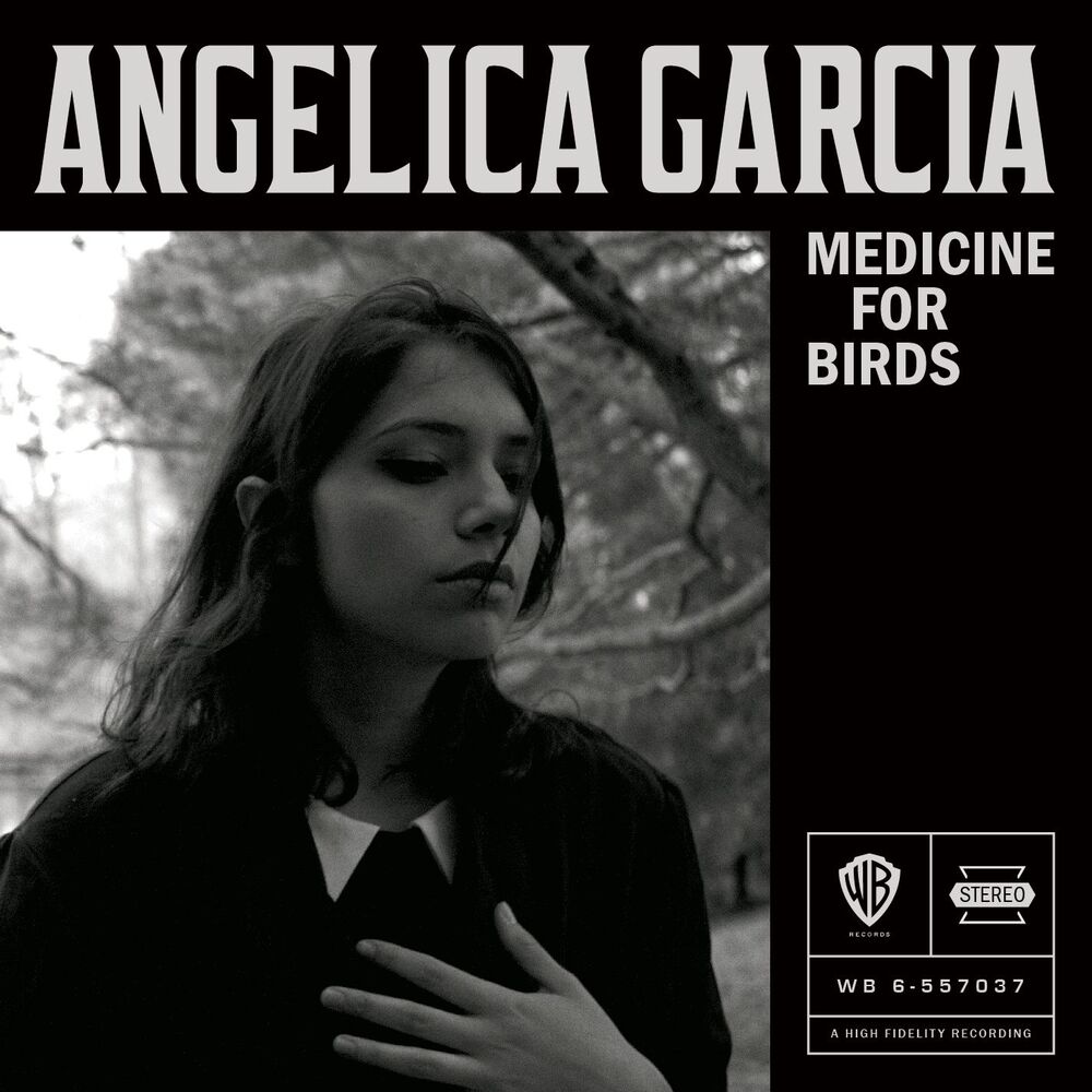 Picture of Medicine for Birds