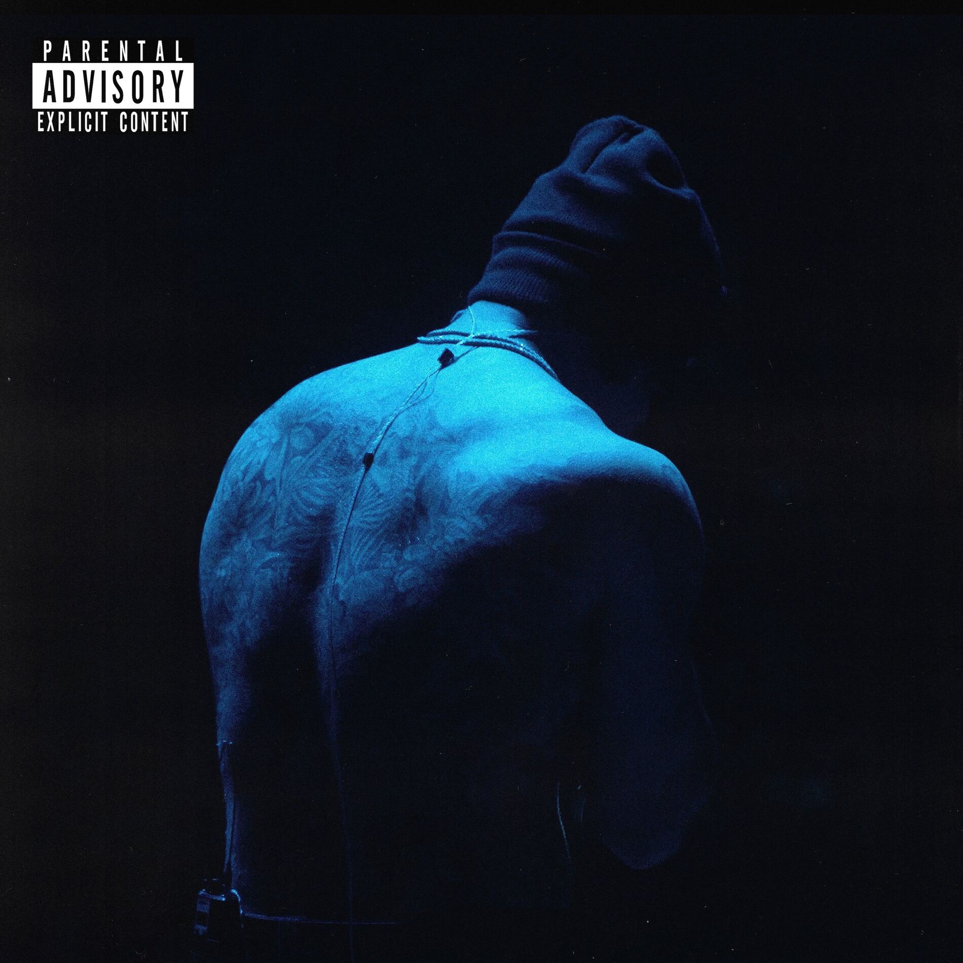 Album cover of BORN FROM THE DIRT