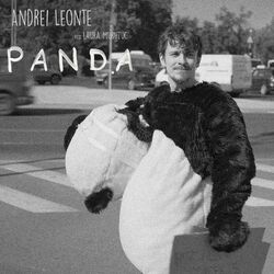 Cover of Panda