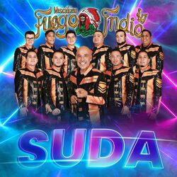 Cover of Suda