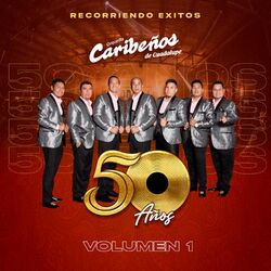 50 Años "Recorriendo Éxitos", Vol. 1