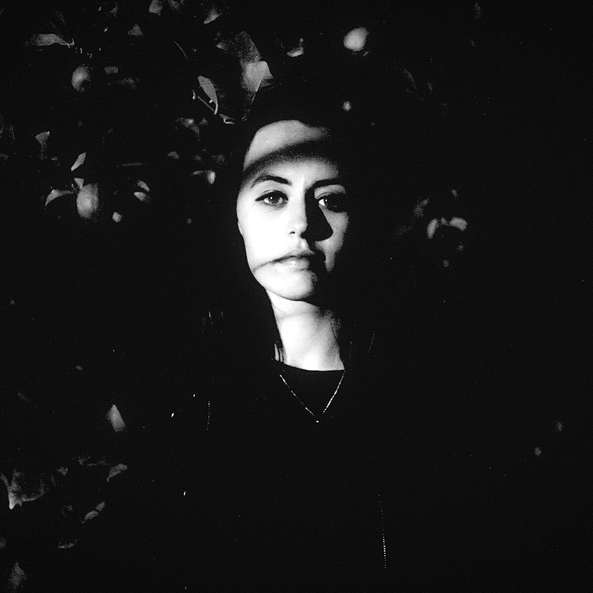 Album cover of Avant Gardener