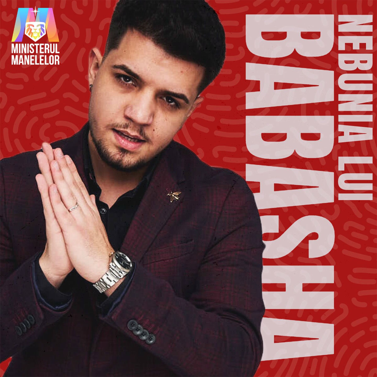 Album cover of Nebunia lui Babasha