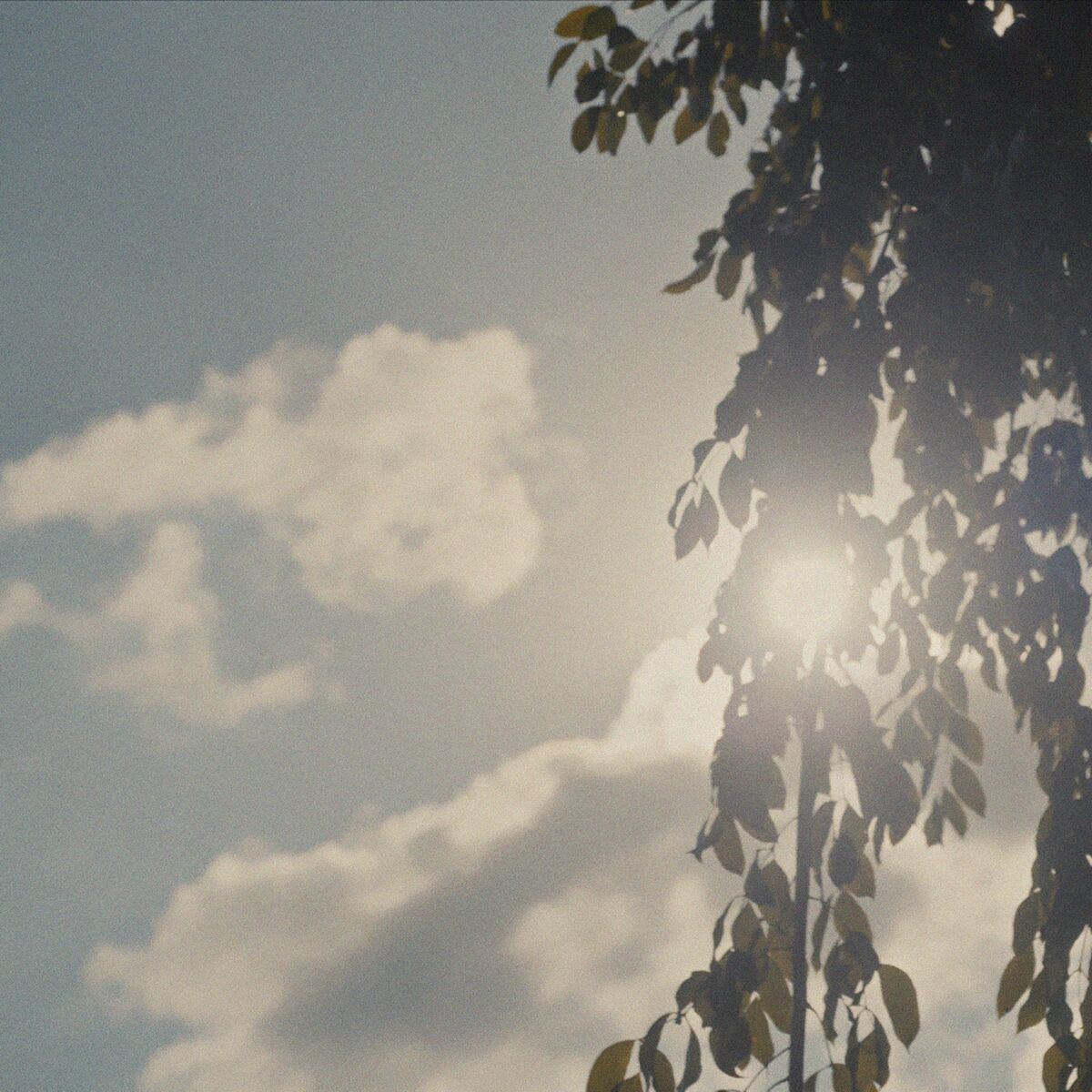 Album cover of shades of spring