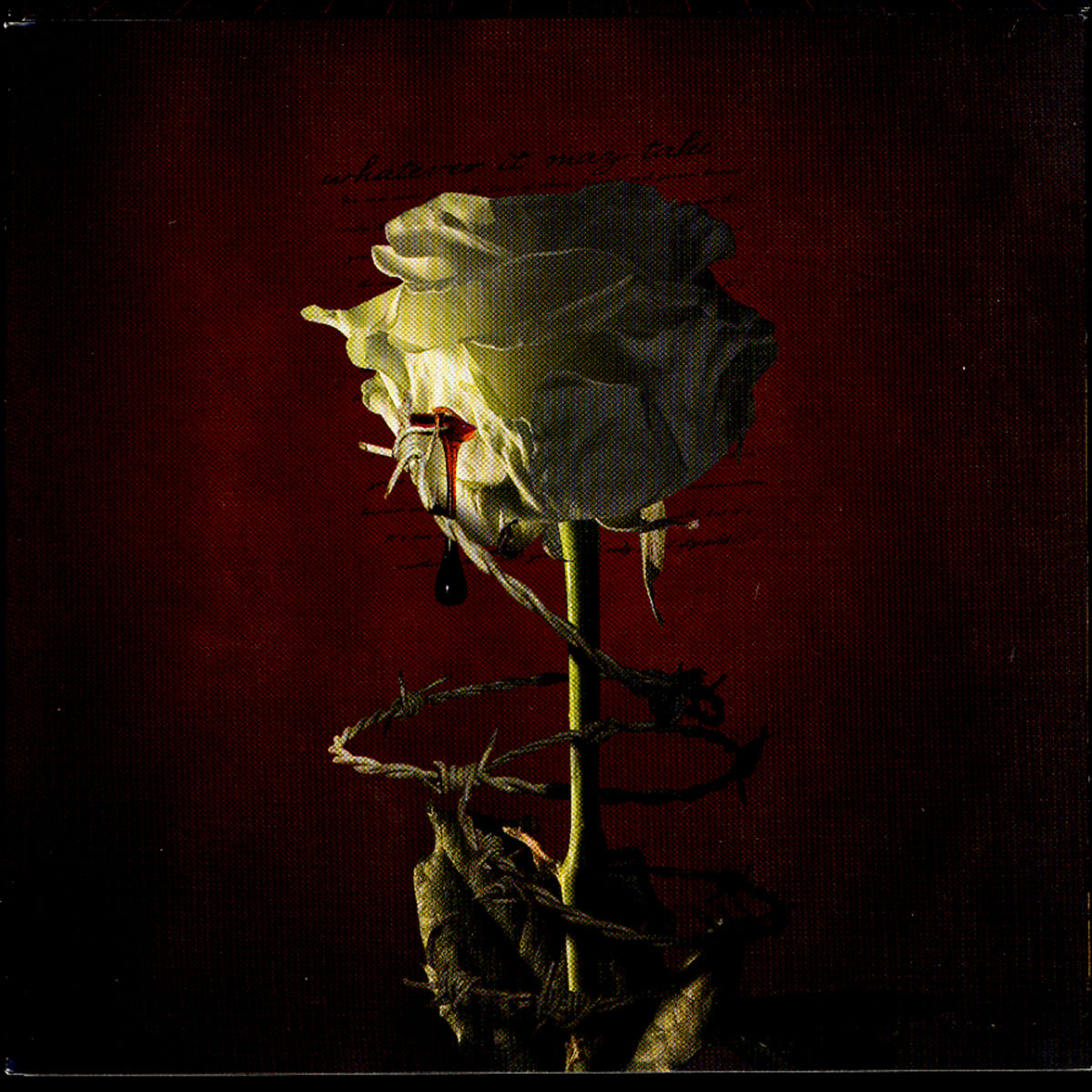 Album cover of Behind a Wall of Silence