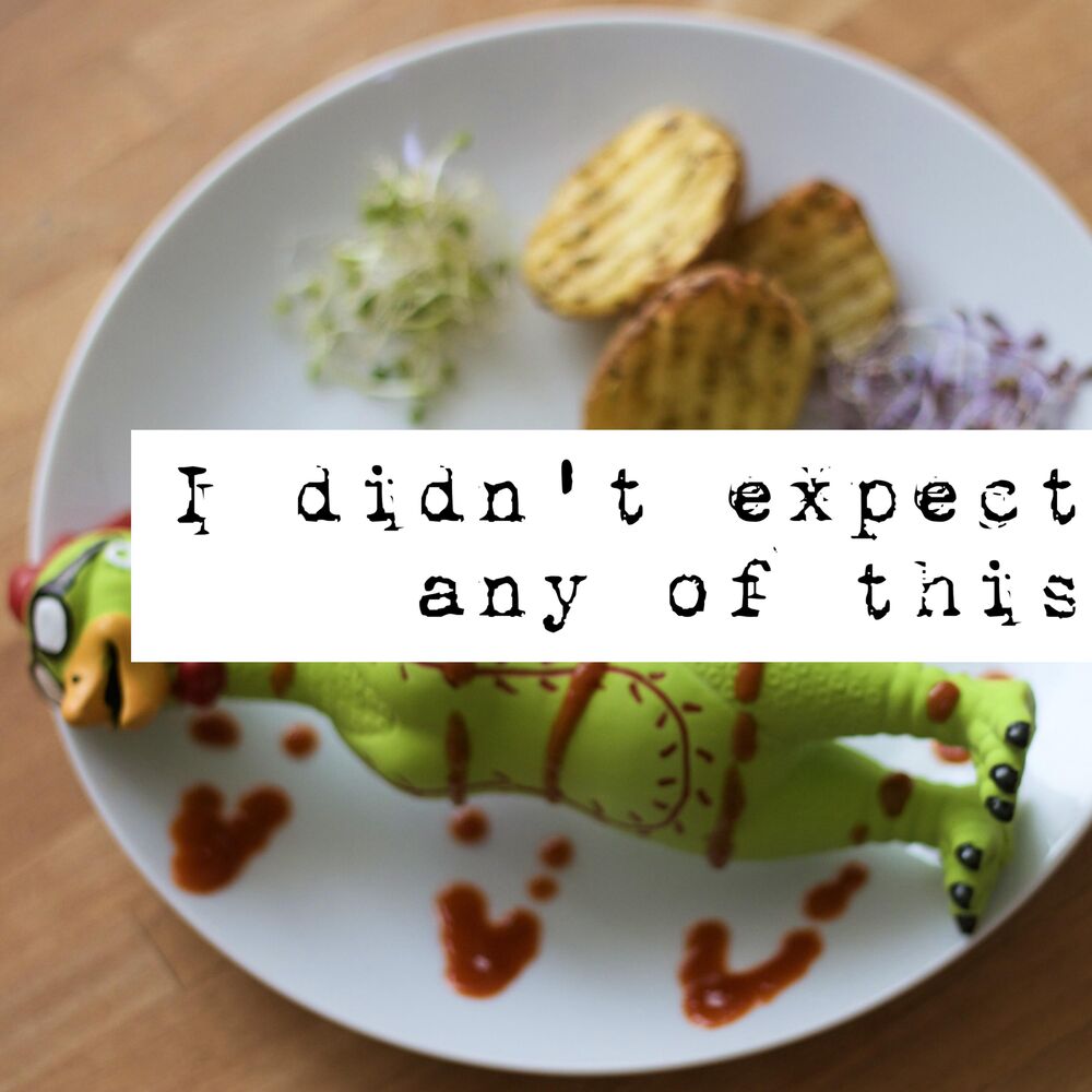 Picture of I Didn't Expect Any of This