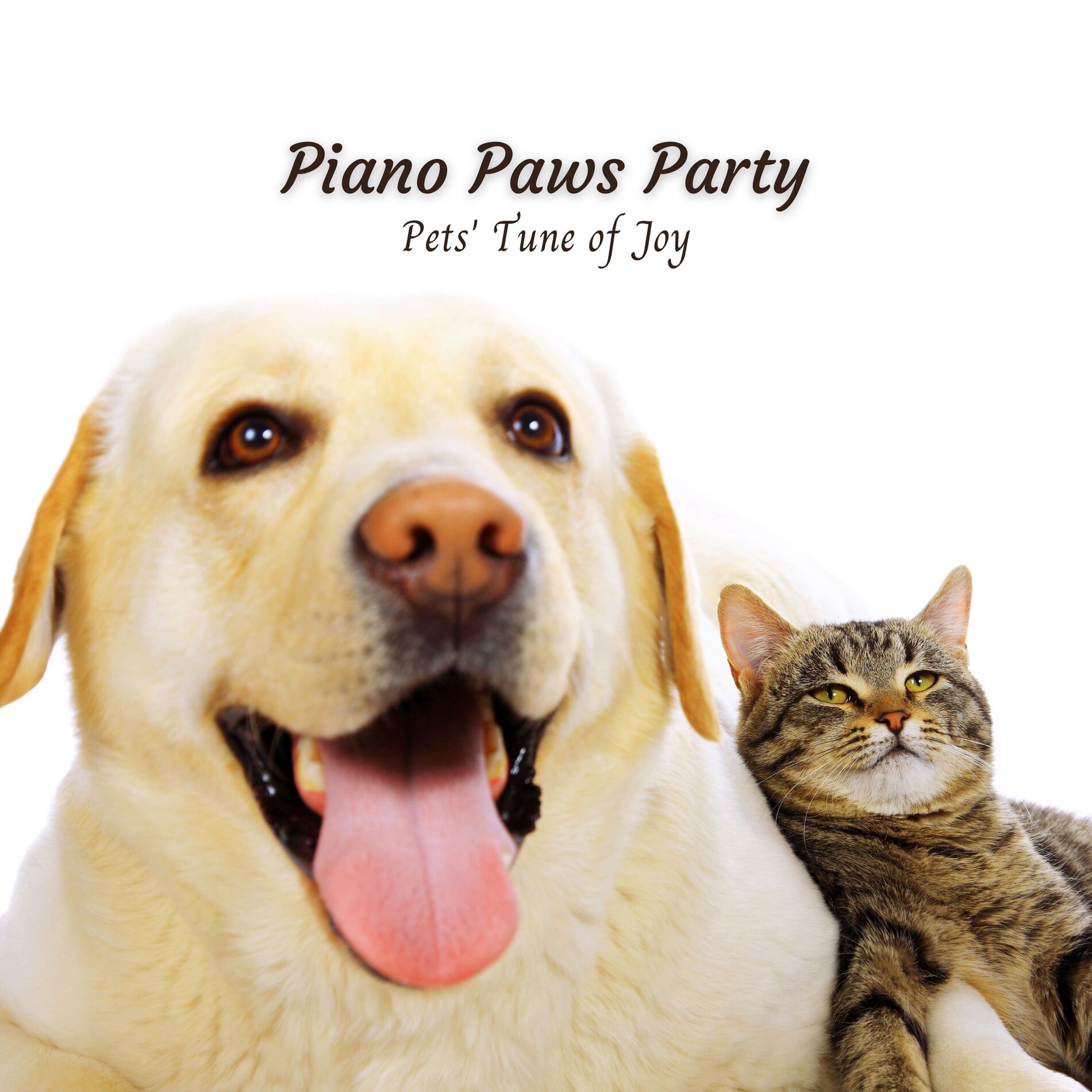 Album cover of Piano Paws Party: Pets' Tune of Joy