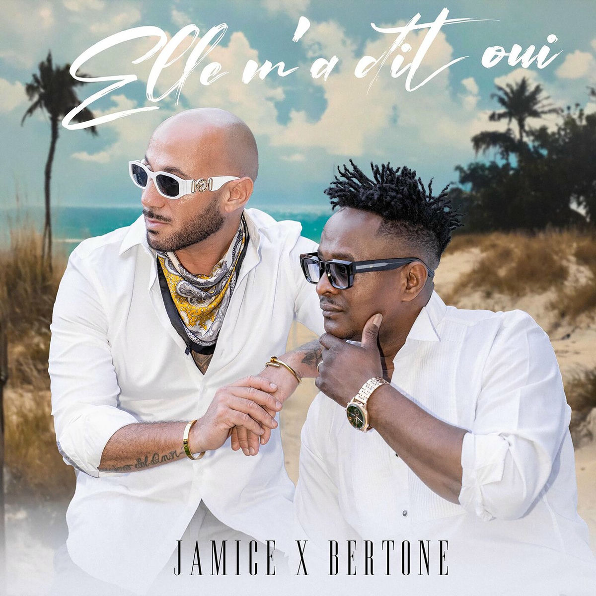 Album cover of Elle m'a dit oui