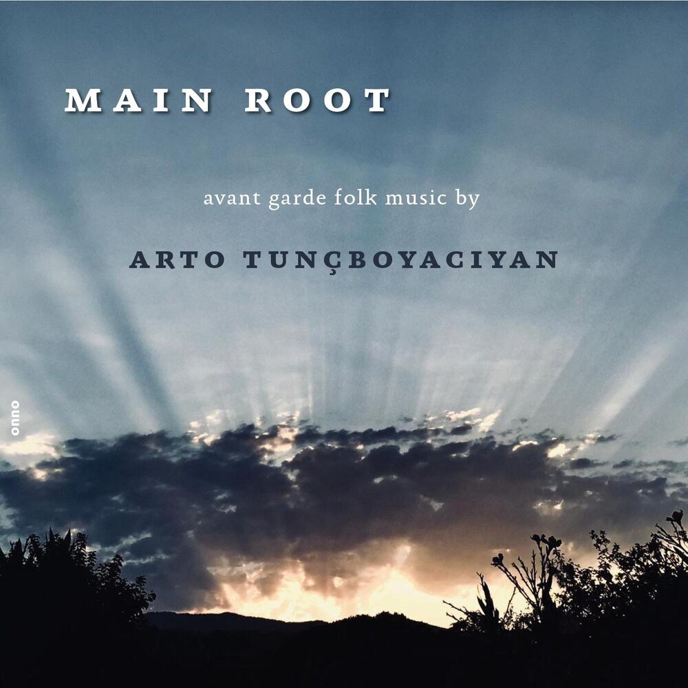 Picture of Main Root