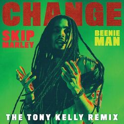 Cover of Change (The Tony Kelly Remix)