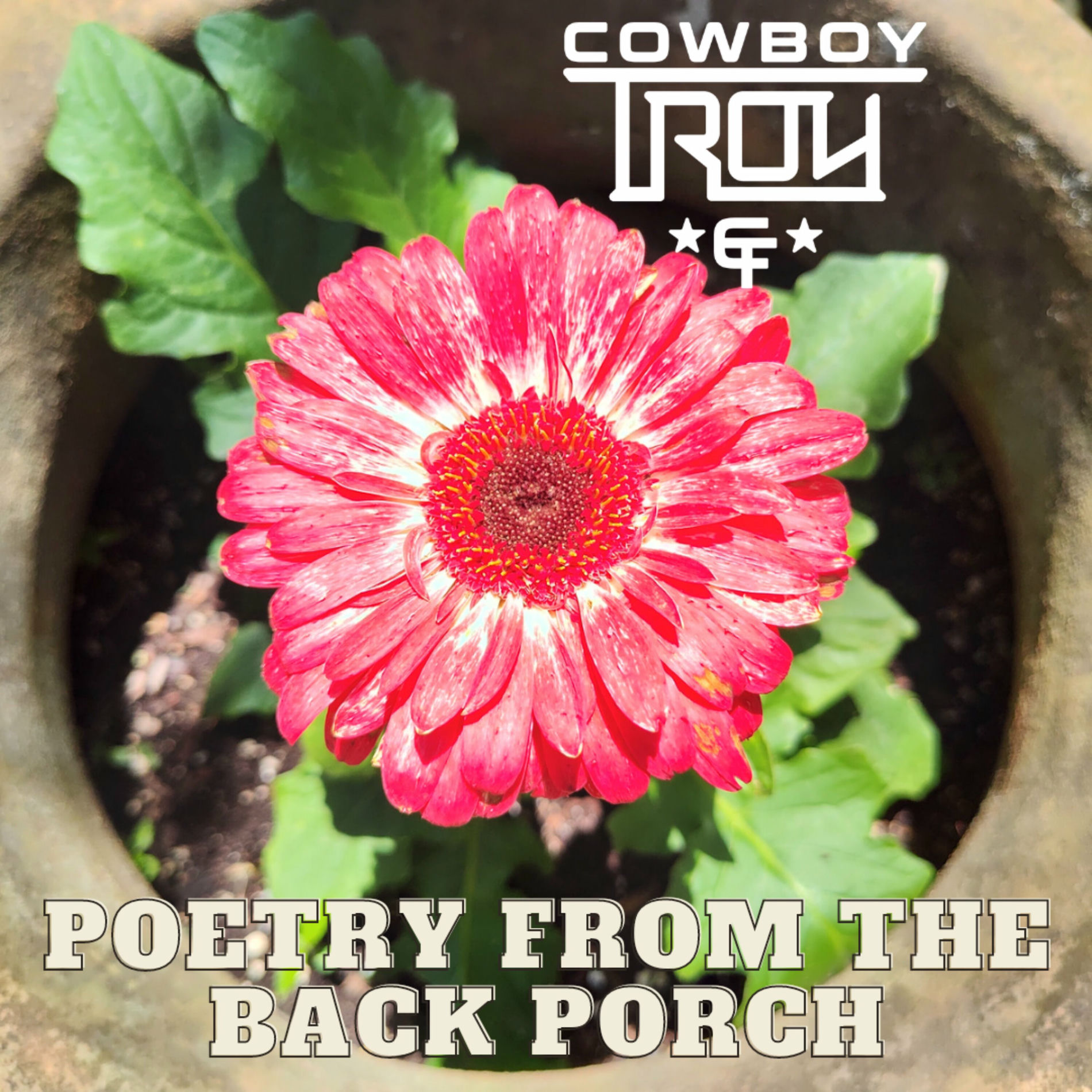 Album cover of Poetry From the Back Porch