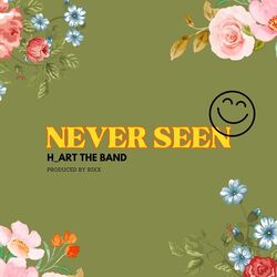 Cover of NEVER SEEN