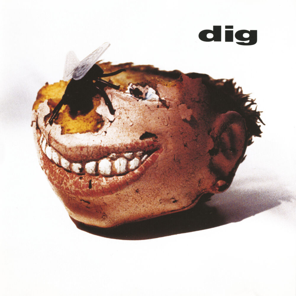 Picture of Dig
