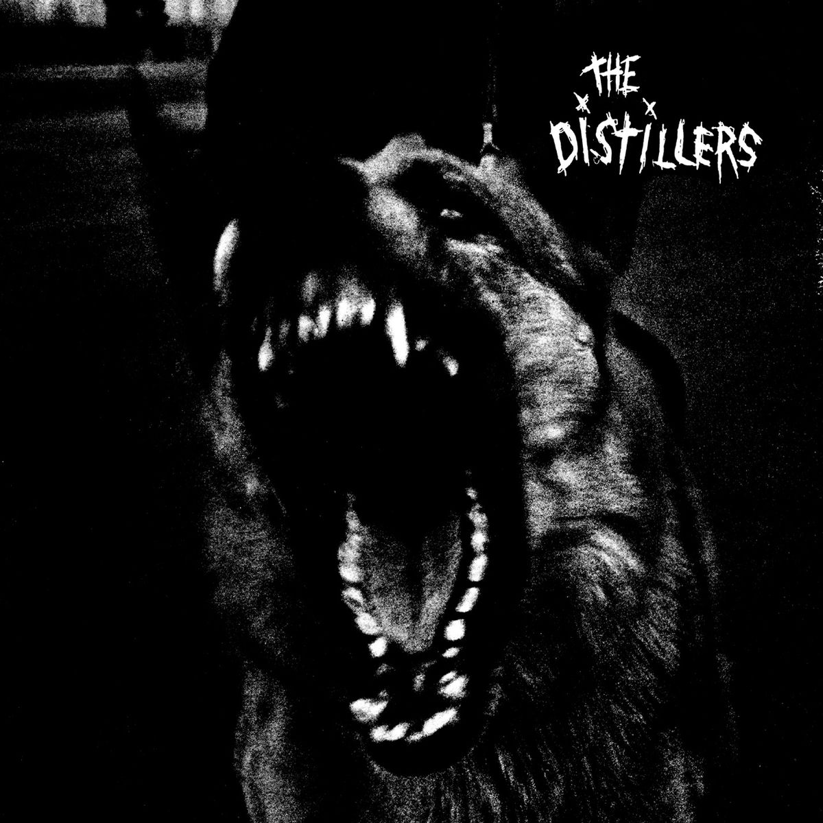 Album cover of The Distillers