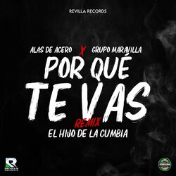 Cover of Por Que Te Vas