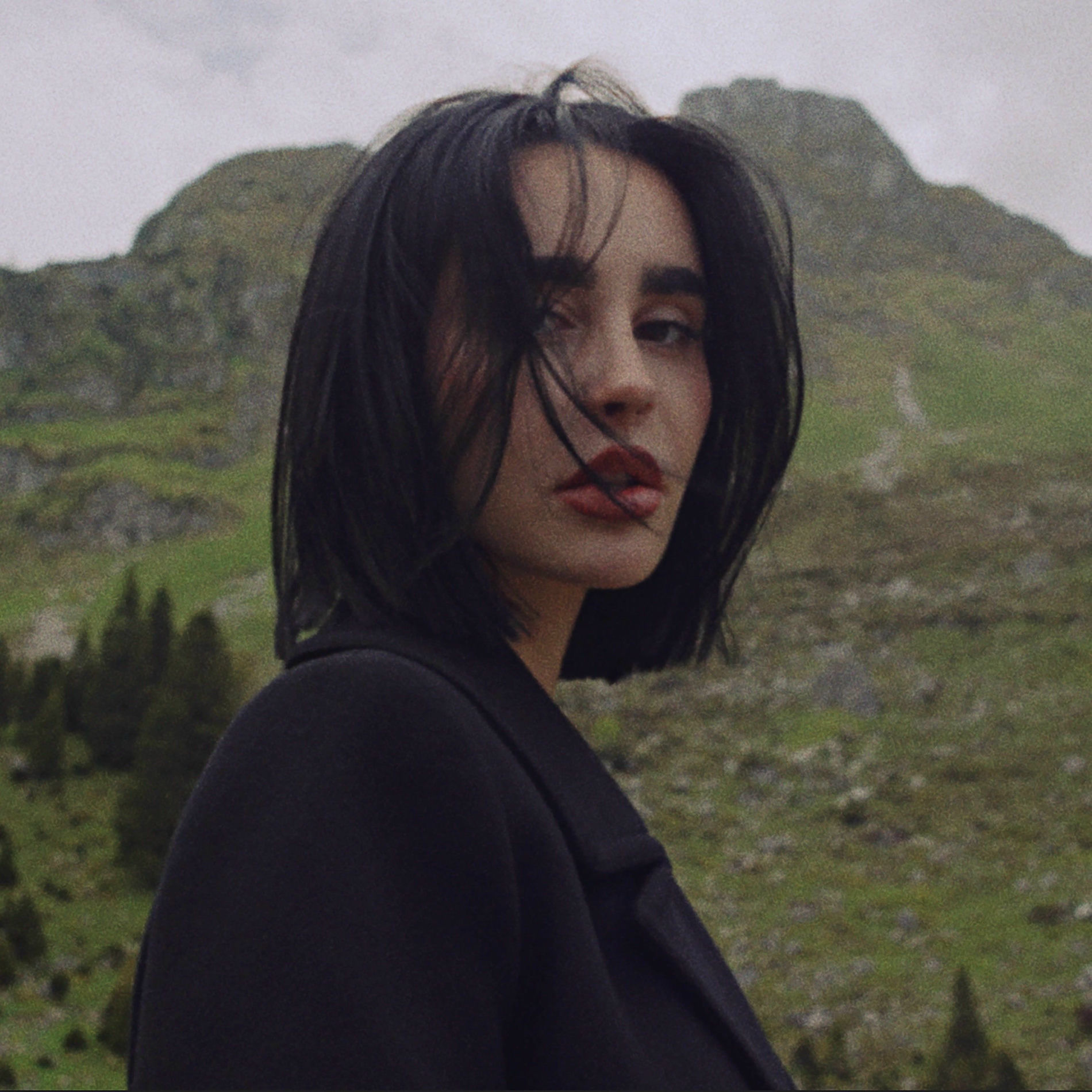 Album cover of Deer in Headlights