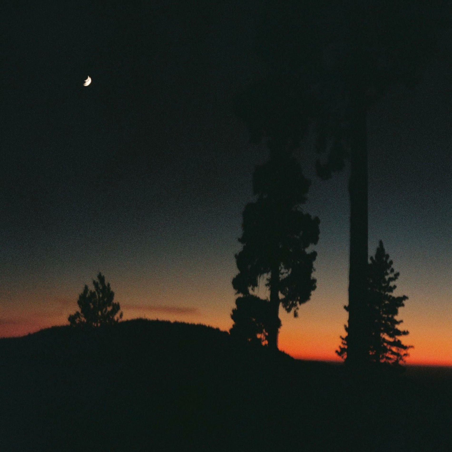 Album cover of sundown