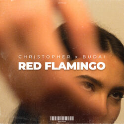 Cover of Red Flamingo