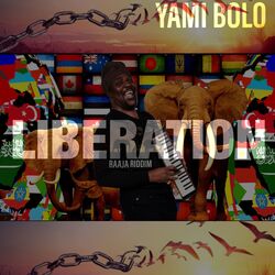 Cover of LIBERATION + RAAJA RIDDIM