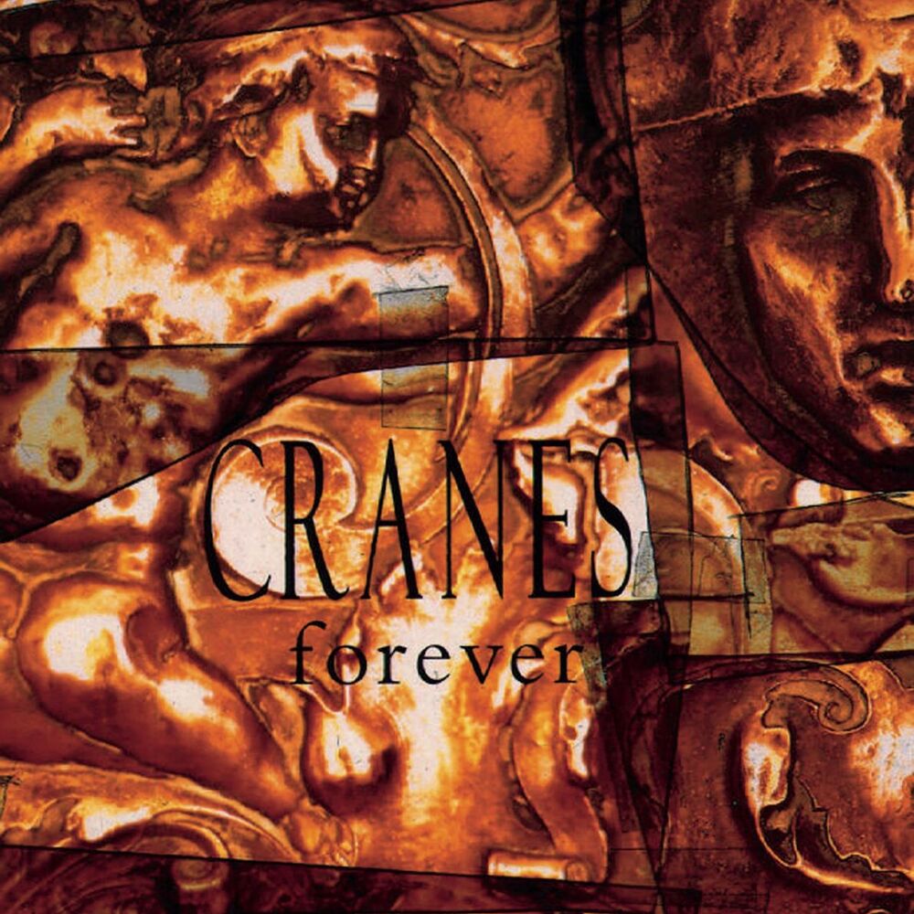 Picture of Forever (Expanded Edition)