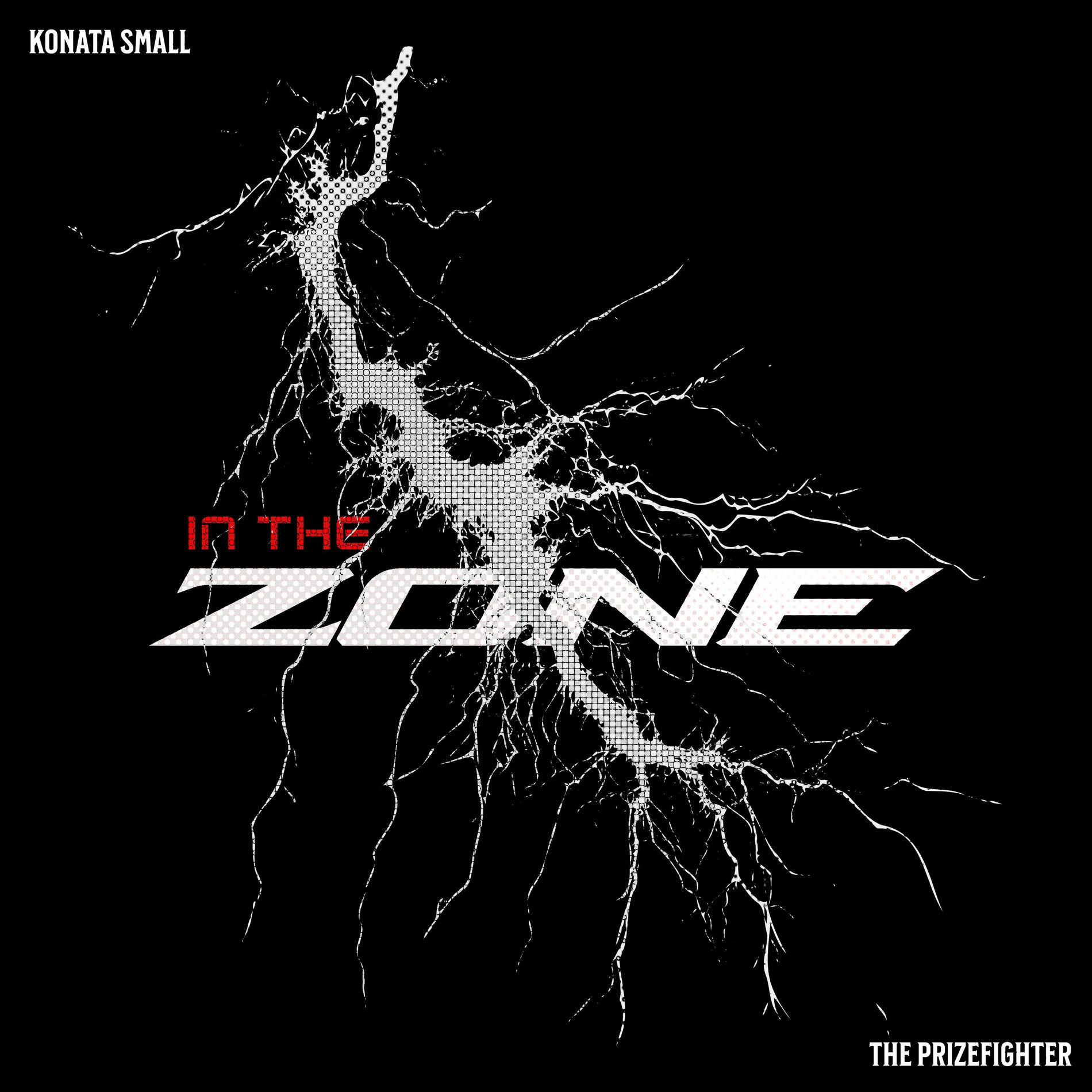 Album cover of In The Zone