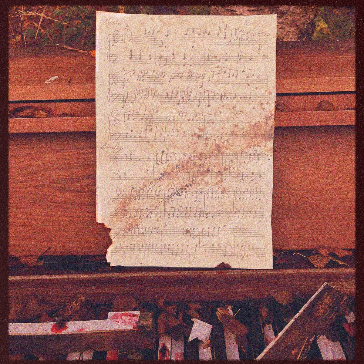 Album cover of Rain