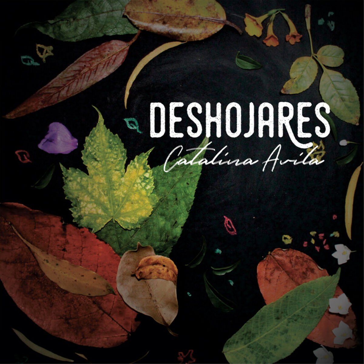 Album cover of Deshojares