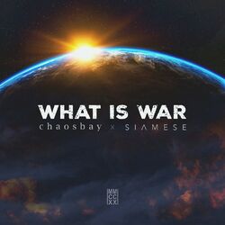 Cover of What Is War