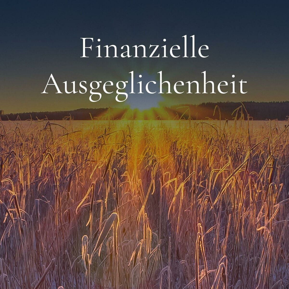 Album cover of Finanzielle Ausgeglichenheit
