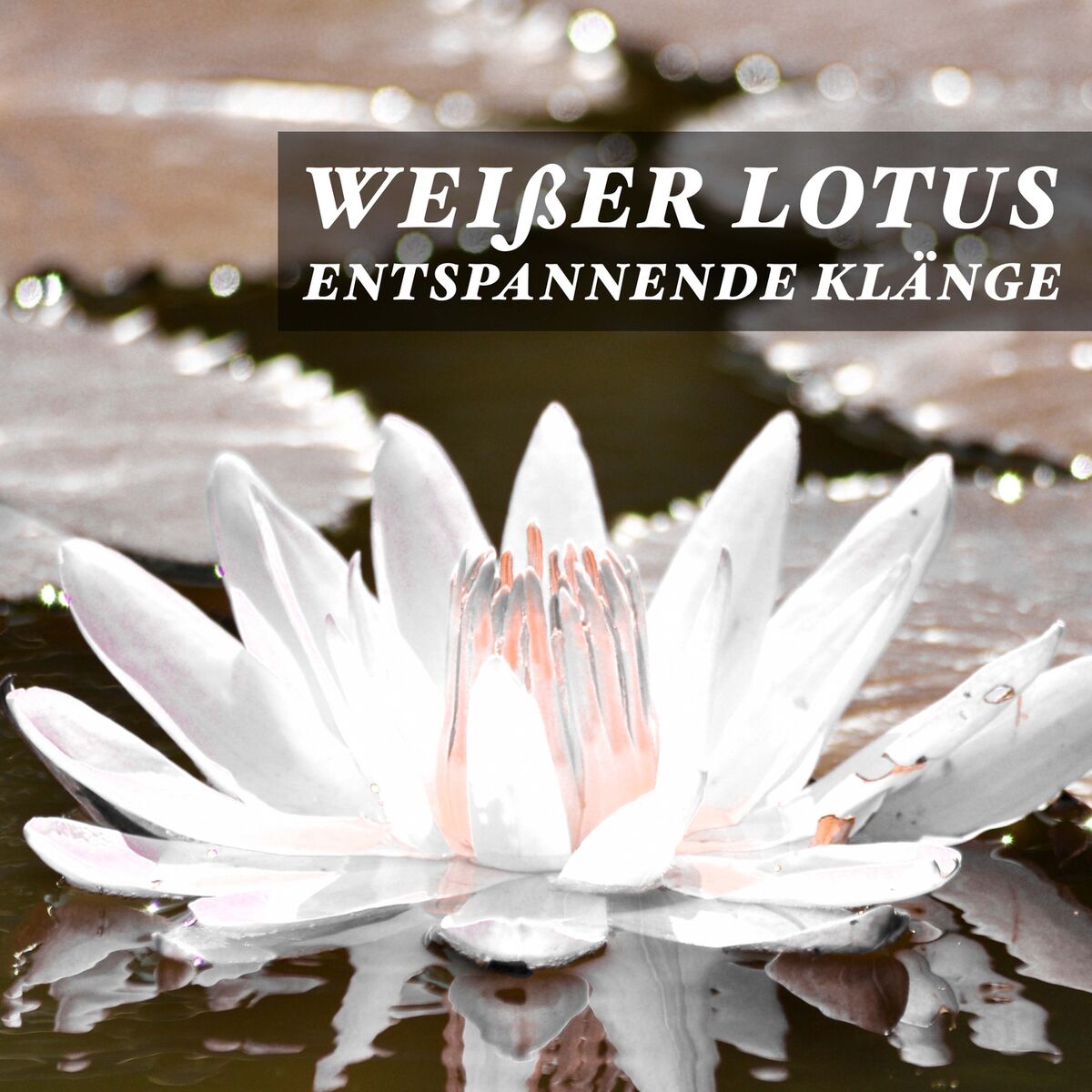 Album cover of Weißer Lotus - Entspannende Klänge mit Weißem Rauschen und Geräusche aus der Natur