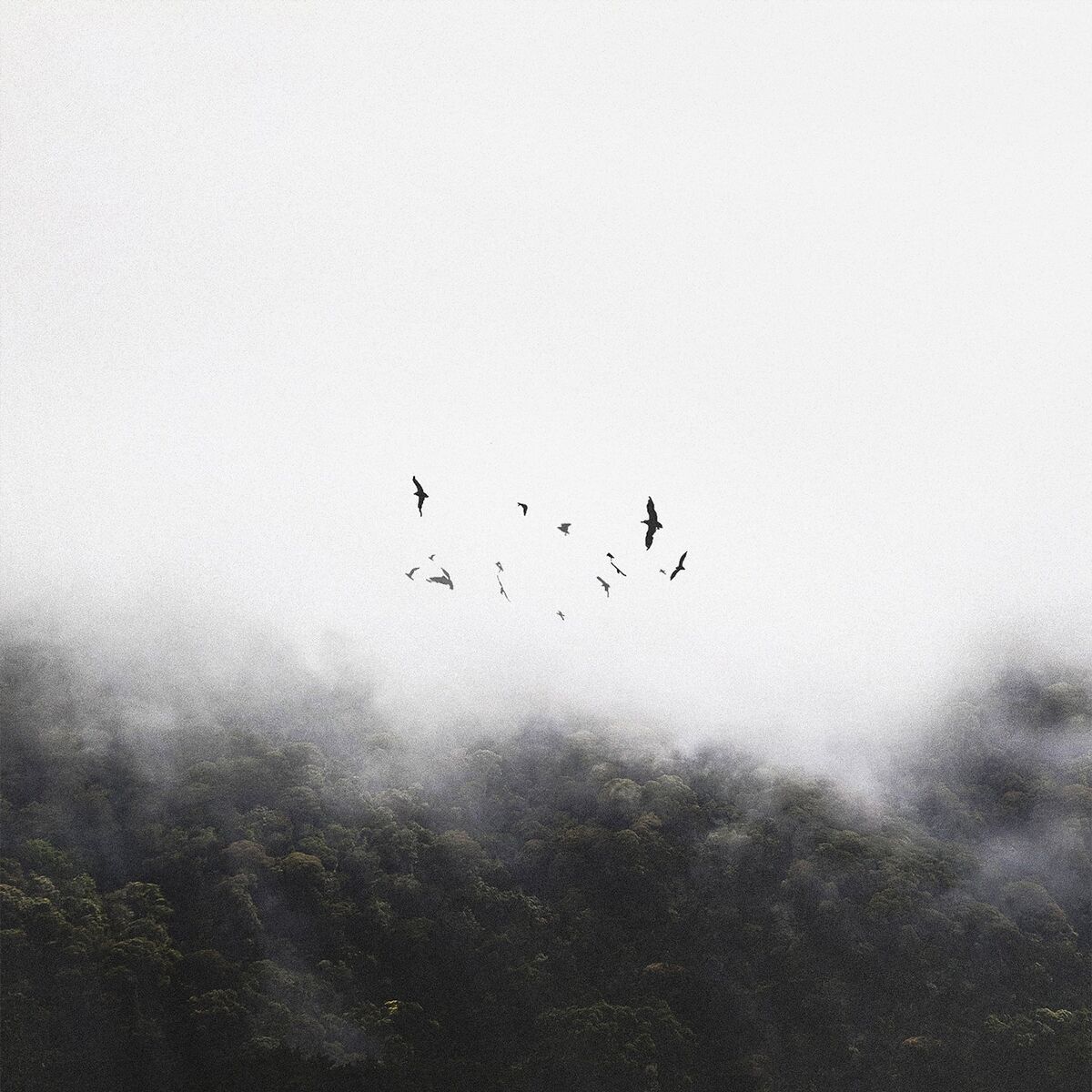 Album cover of Dreamlike