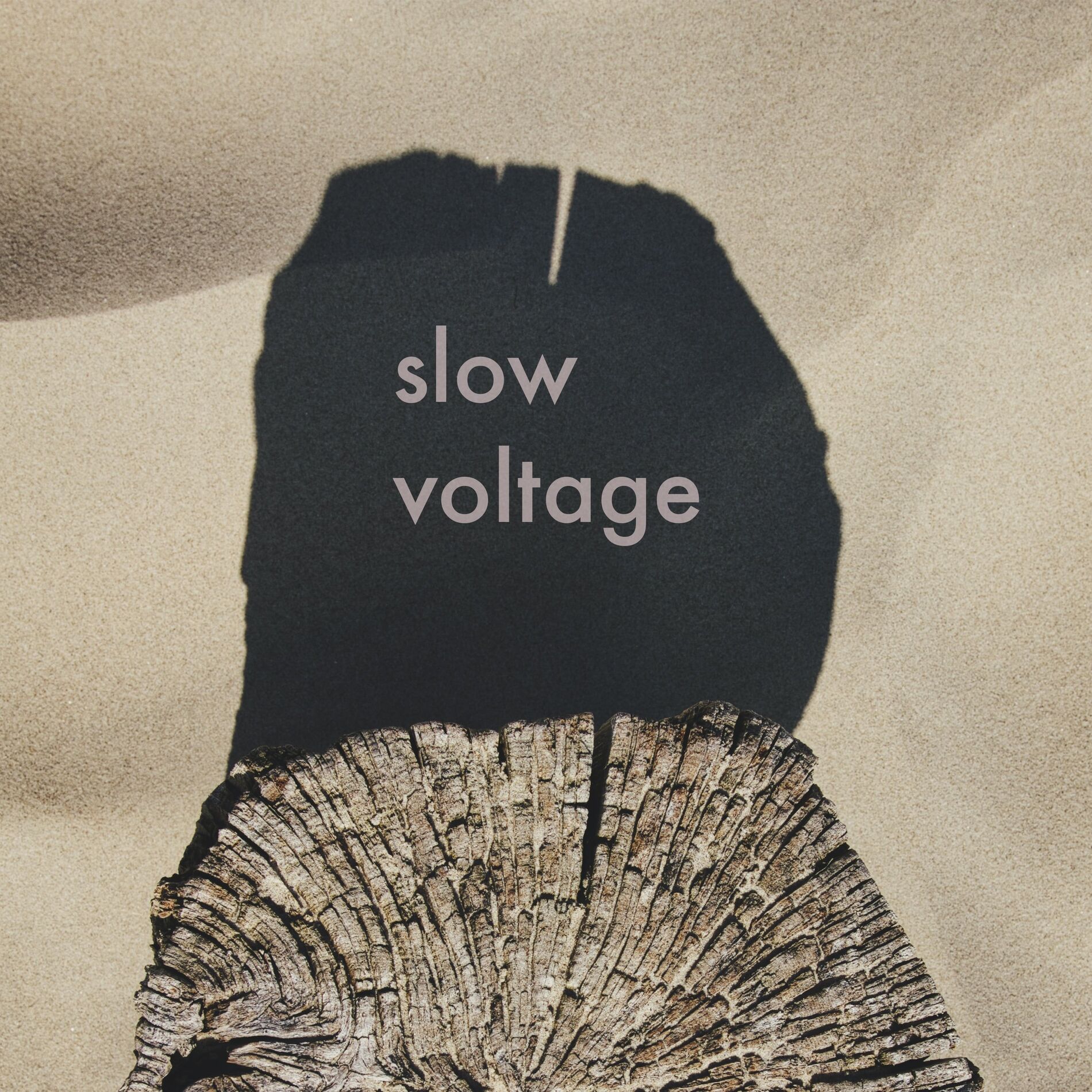 Album cover of Slow Voltage