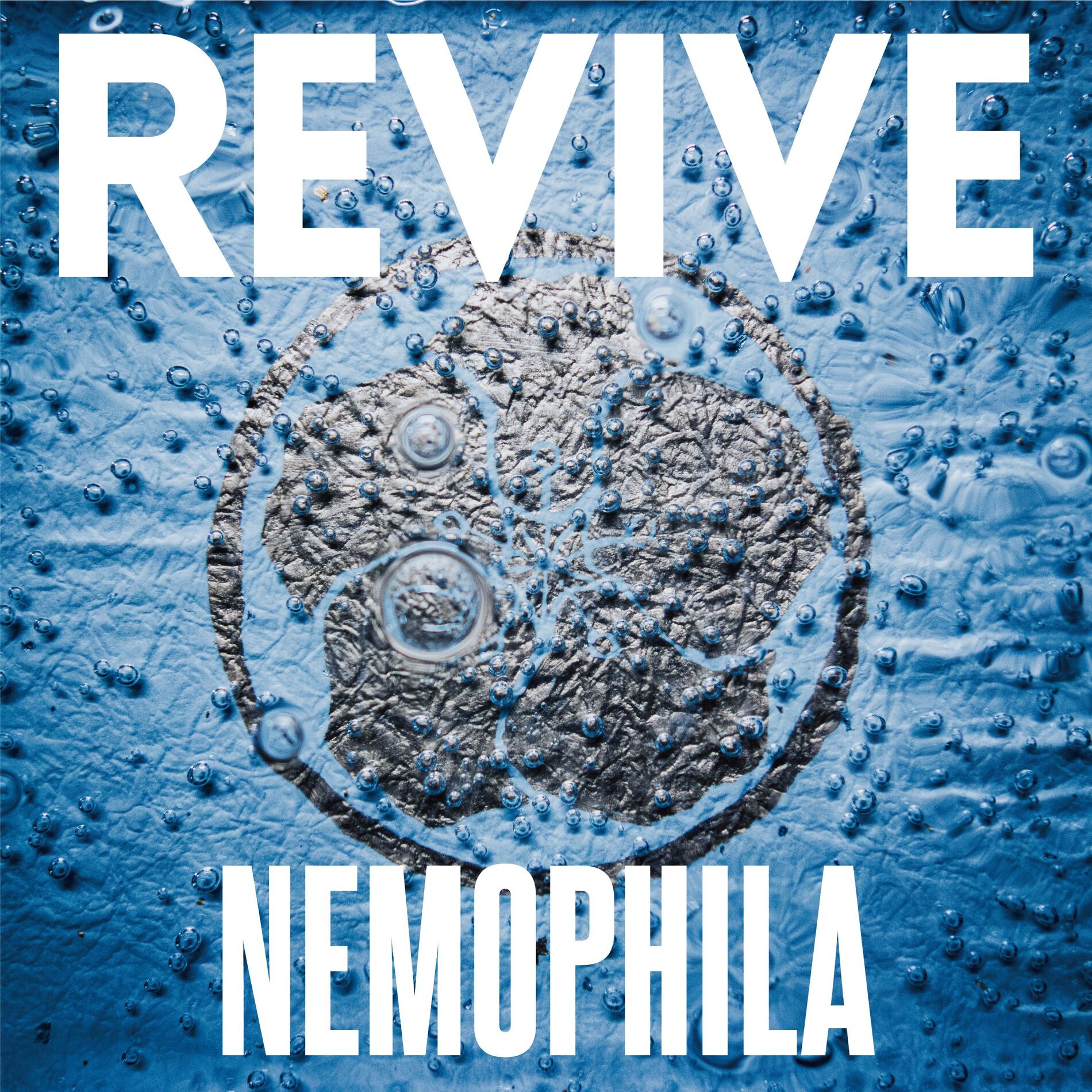 Album cover of REVIVE
